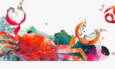 巨蟹座程序员的工作生崖