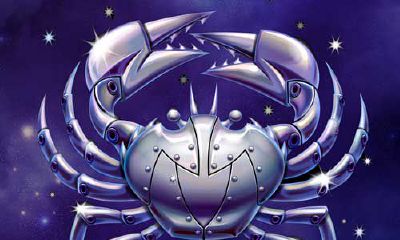 12星座老公使用说明书——巨蟹座