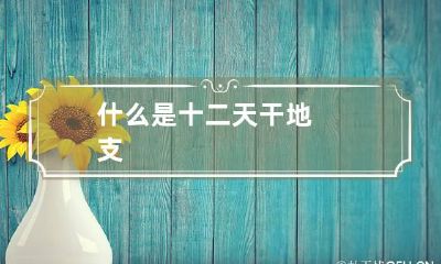 什么是十二天干地支