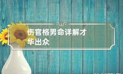 伤官格男命详解 才华出众