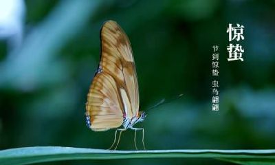 2021牛年惊蛰出生的男孩八字缺木取什么名字好？