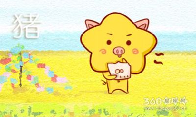 永远不会在公共场合发表观点的生肖