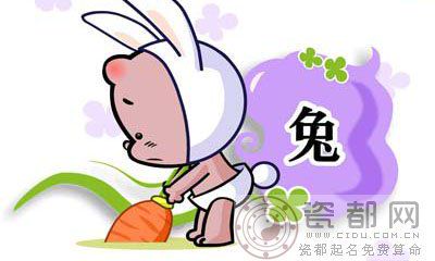 属兔的人2013年1月运势