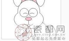 对生肖兔的投资理财忠告