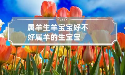 属羊生羊宝宝好不好 属羊的生宝宝