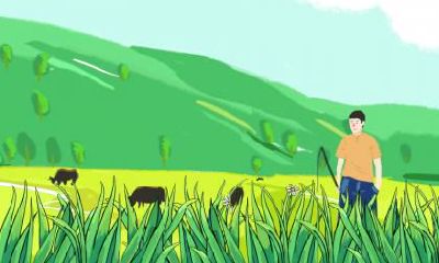 夏至要吃什么?夏至的节气特点分析