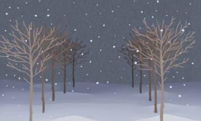 1975属兔人2021年每月运势 46岁属兔人的每月运势