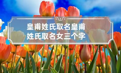 皇甫姓氏取名 皇甫姓氏取名女三个字