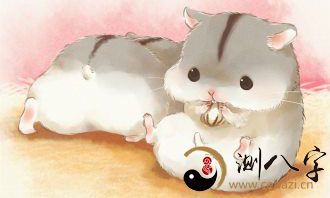 梦见了许多小仓鼠