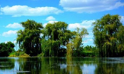 2023正月出生的兔命运怎样