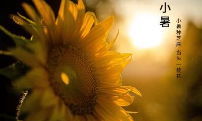 2021年4月20日谷雨节气不宜做什么？谷雨节气谚语有哪些？