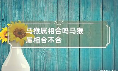 马猴属相合吗 马猴属相合不合