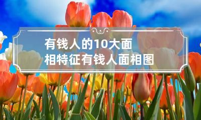 有钱人的10大面相特征 有钱人面相图