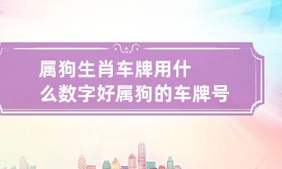 属狗生肖车牌用什么数字好 属狗的车牌号怎么选