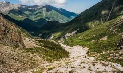 如何给2019年农历腊月二十四生的五行缺木女孩起名字？