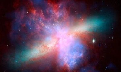 1986属虎37岁后有十年大运 命运迎来转折