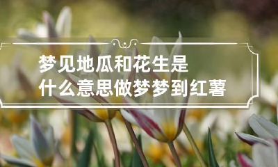 梦见地瓜和花生是什么意思 做梦梦到红薯和花生好不好