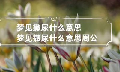 梦见撒尿什么意思 梦见撒尿什么意思周公解梦