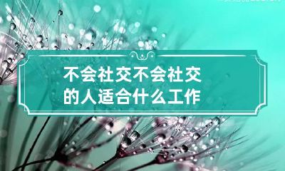 不会社交 不会社交的人适合什么工作