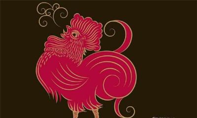 今年属鸡的财运和运气如何