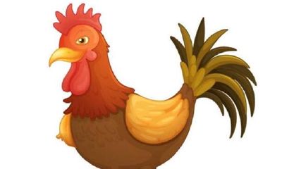 生肖鸡的性格缺点有哪些