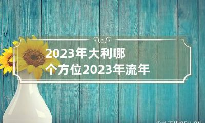 2023年大利哪个方位 2023年流年大利方位图