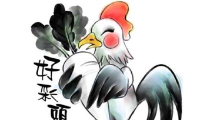 生肖是鸡的人什么时辰出生最好