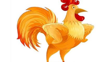 属鸡的年份解析