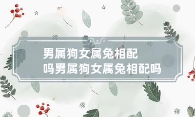 男属狗女属兔相配吗 男属狗女属兔相配吗财运如何