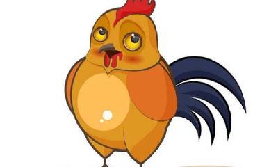 属鸡配什么属相最为幸福