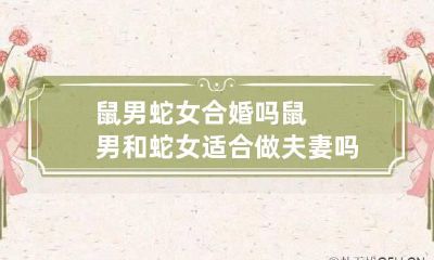 鼠男蛇女合婚吗 鼠男和蛇女适合做夫妻吗