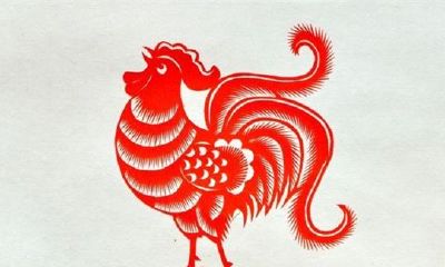 2019年属鸡的人今年是几岁