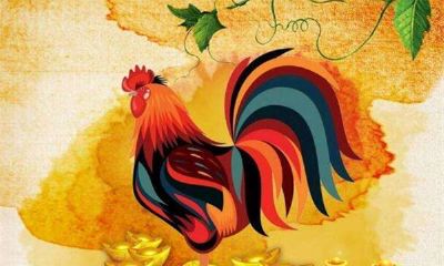 2019年属鸡人的运势解析