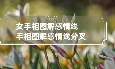 女手相图解感情线 手相图解感情线分叉