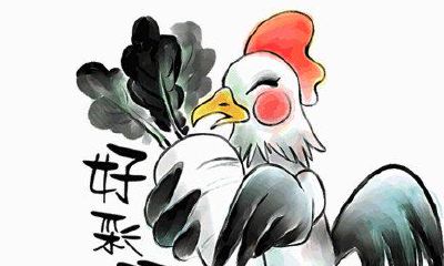 男鸡女猴的婚姻相配吗