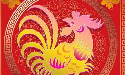 哪年的属鸡的是凤凰命