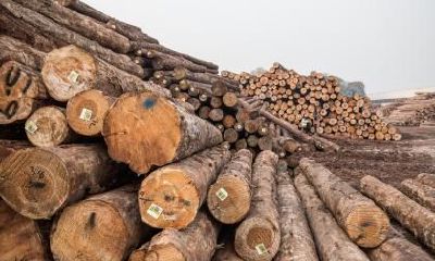 2018年十一月初二出生女孩如何起名字？五行缺什么？