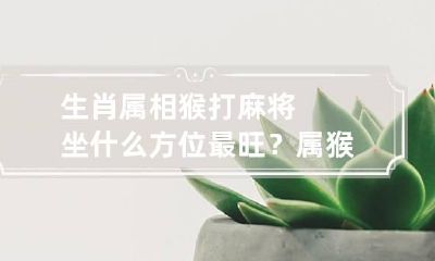 生肖属相猴打麻将坐什么方位最旺？ 属猴打牌坐哪个方向最好