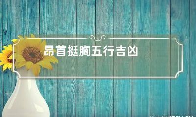 昂首挺胸五行吉凶