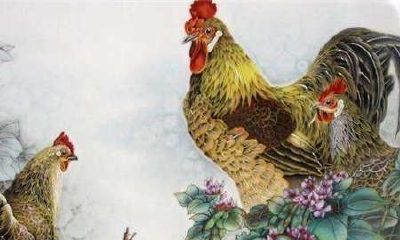 出生在鸡年的人在2018年中提升偏财运