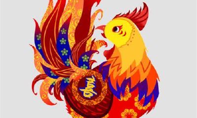 生肖运势：鸡年出生的人2018年命犯太岁