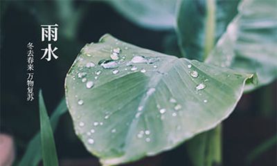 2022年雨水具体时间，雨水节气物候特点