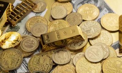 2019年腊月十六出生的女孩五行缺木高雅的名字推荐，性格如何？