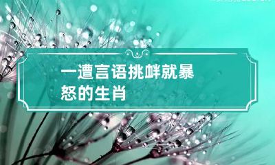 一遭言语挑衅就暴怒的生肖