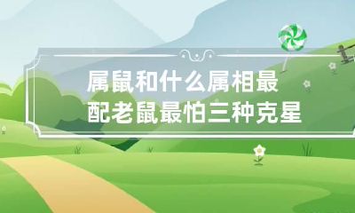 属鼠和什么属相最配 老鼠最怕三种克星