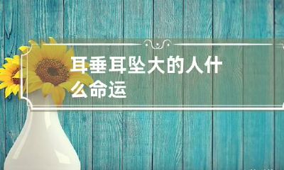 耳垂耳坠大的人什么命运