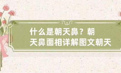 什么是朝天鼻？朝天鼻面相详解图文 朝天鼻的面相有福气吗