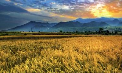 2020年八月初五秋分前一天出殡好吗？出殡日子有什么讲究？