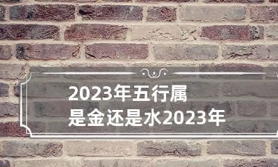 2023年五行属是金还是水 2023年属兔是大溪水命吗