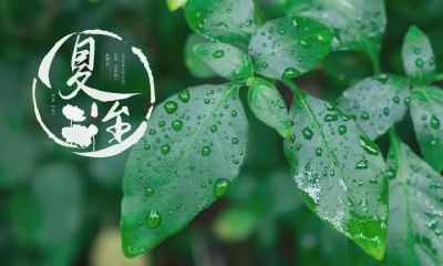 夏至为什么要吃面？夏至吃面的含义是什么？